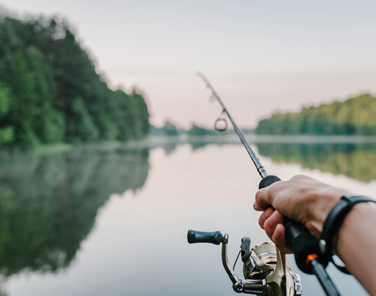 Fishing