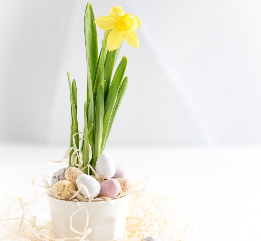 easter eggs
