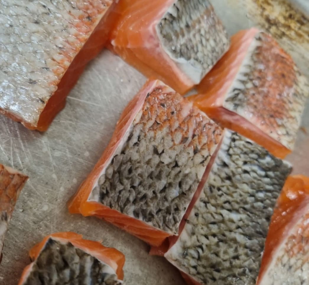 Salmon