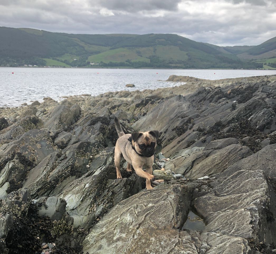Loch long coast
