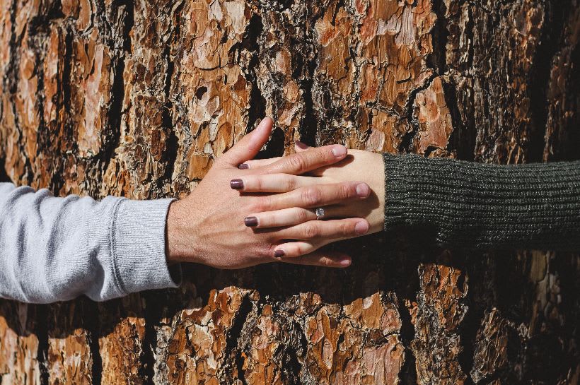 Holding hands around a tree