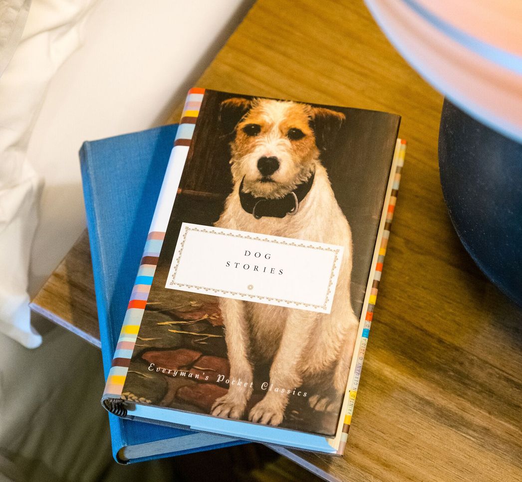 dog friendly bedrooms